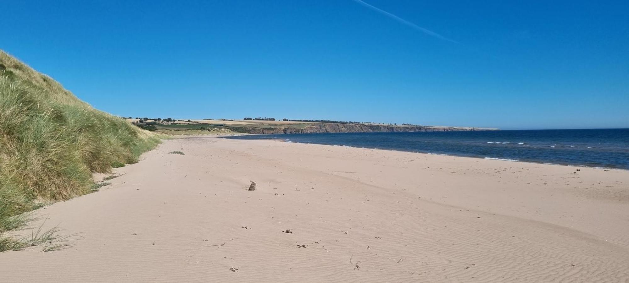 Auburn Cottage Arbroath Zewnętrze zdjęcie